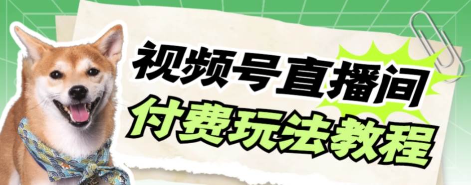 视频号美女付费无人直播，轻松日入500+【详细玩KK创富圈-网创项目资源站-副业项目-创业项目-搞钱项目KK创富圈