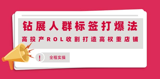 钻展人群标签打爆法，高投产ROL收割打造高权重店铺(全程实操)KK创富圈-网创项目资源站-副业项目-创业项目-搞钱项目KK创富圈