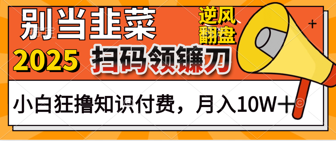 2025别当韭菜！扫码领镰刀！小白狂撸知识付费月入10W+KK创富圈-网创项目资源站-副业项目-创业项目-搞钱项目KK创富圈